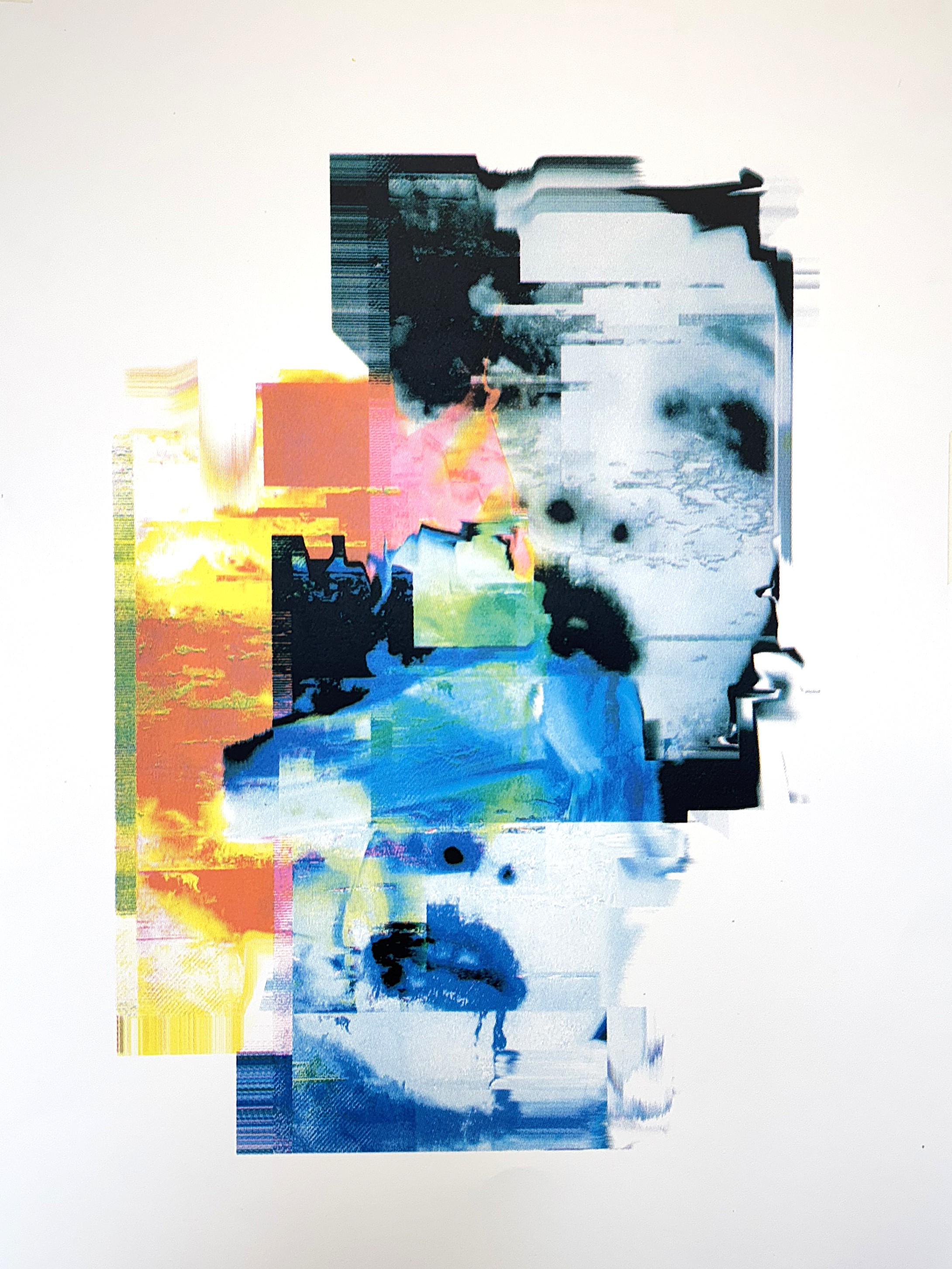 Compatibility Failed - Screenprint